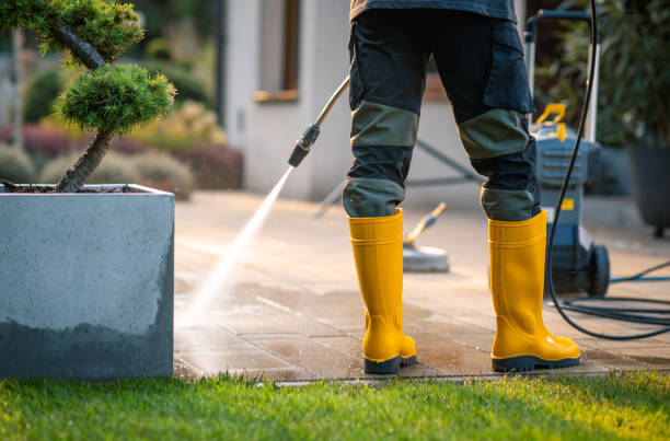 Best Pressure Washing Contractors  in Auburn, NY